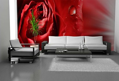 vodolepiace tapety - rose