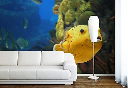 Fototapeta Golden Fish 4352