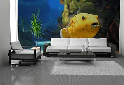 Fototapeta Golden Fish 4352