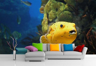 Fototapeta Golden Fish 4352