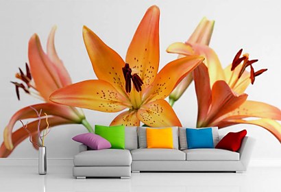 Kvety Fototapeta - Lily 6224
