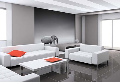 Fototapeta Slon a Zebra 4051