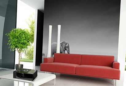 Fototapeta Slon a Zebra 4051