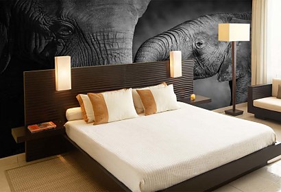 Fototapeta Elephants 4027