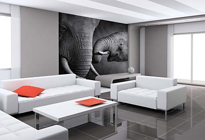 Fototapeta Elephants 4027