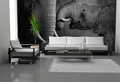 Fototapeta Elephants 4027