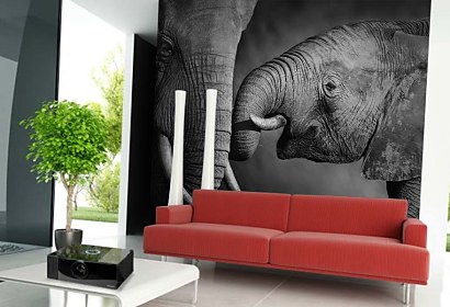 Fototapeta Elephants 4027