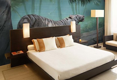 Fototapeta Biely Tiger 5377