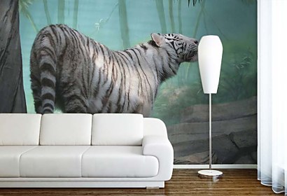 Fototapeta Biely Tiger 5377