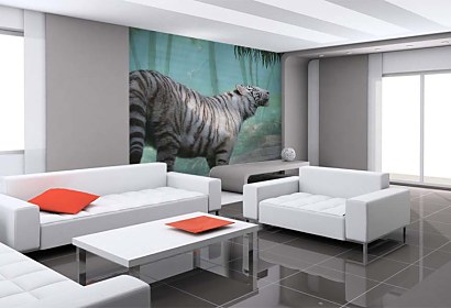 Fototapeta Biely Tiger 5377