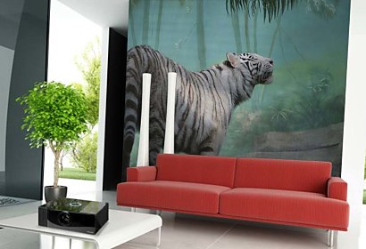 Fototapeta Biely Tiger 5377