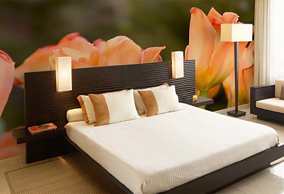 Fototapeta - Oranžové Tulipány 5418