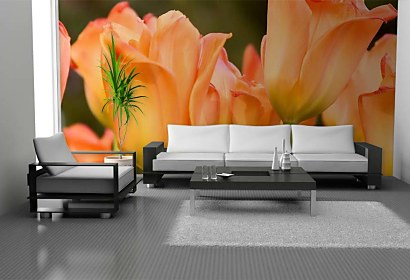 Fototapeta - Oranžové Tulipány 5418