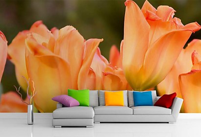 Fototapeta - Oranžové Tulipány 5418