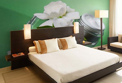 Fototapeta Wellness 6441