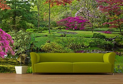 Fototapeta Garden 2071