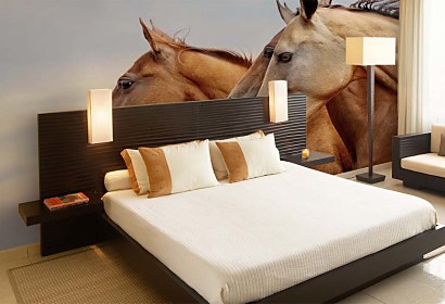 Fototapeta Wild horses 24437