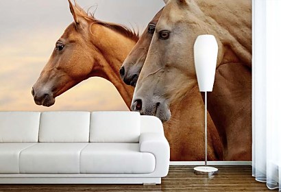 Fototapeta Wild horses 24437