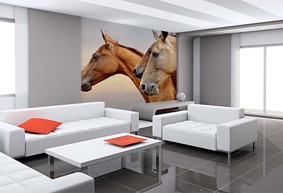 Fototapeta Wild horses 24437