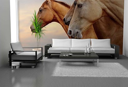 Fototapeta Wild horses 24437
