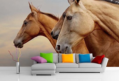 Fototapeta Wild horses 24437
