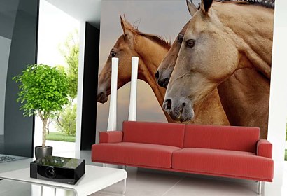 Fototapeta Wild horses 24437