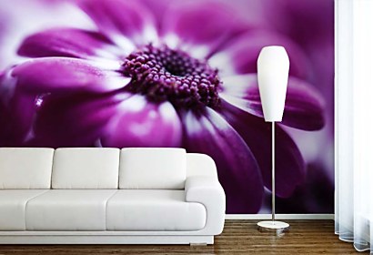 Fototapeta FLoral Violet 24077