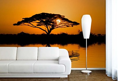 Fototapeta African tree 24122