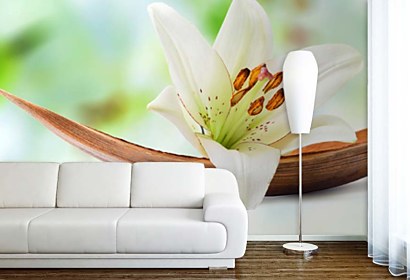 Fototapeta White Lily Inspiration 24228