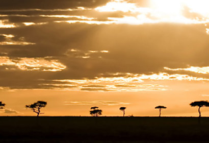 Fototapeta zástena - Exotická Afrika 28134