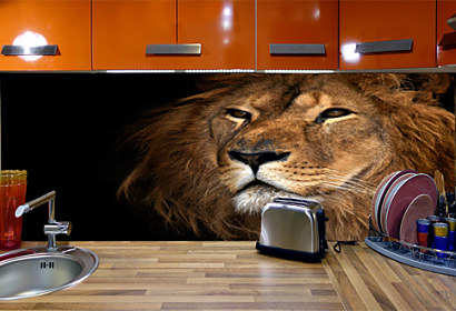 Fototapeta na zástenu - Lion 3179