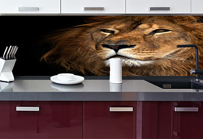 Fototapeta na zástenu - Lion 3179