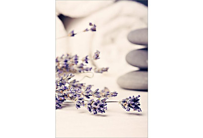 Fototapeta - spa stones 6437
