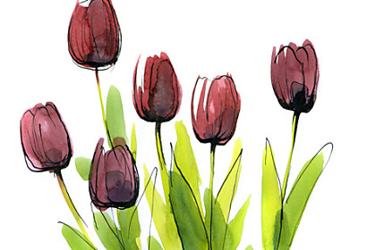 Fototapeta zástena - Tulipány maľované 28200