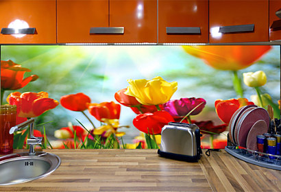 Fototapeta na zástenu - Farebné tulipány 101