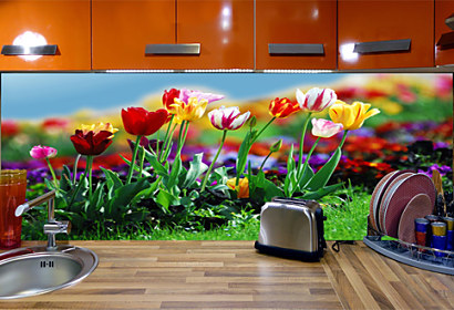 Fototapeta zástena - Rozkvitnuté tulipány 6420