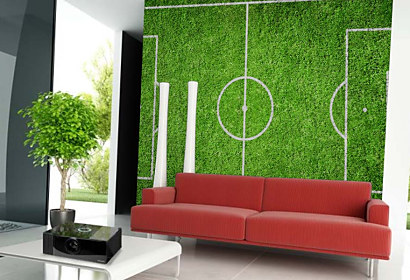Tapeta Futbalové ihrisko 29313