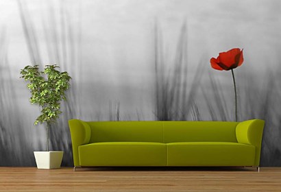 Fototapeta Vivid Poppy 24086