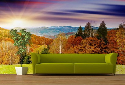 Fototapeta Country Field 24413