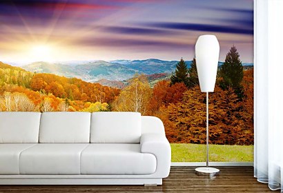 Fototapeta Country Field 24413