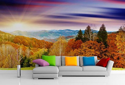 Fototapeta Country Field 24413