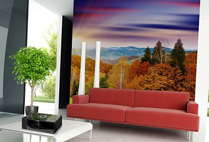 Fototapeta Country Field 24413