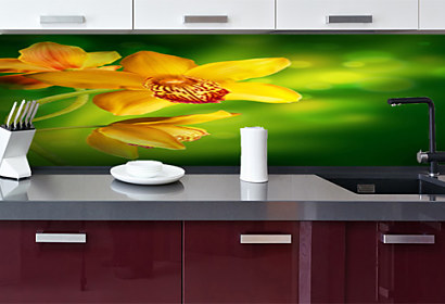 Fototapeta zástena - Žltá orchidea 4679