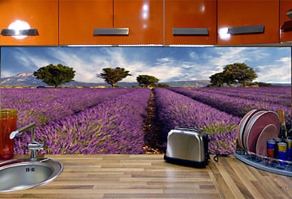 Fototapeta zástena - Provence 3210