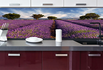 Fototapeta zástena - Provence 3210