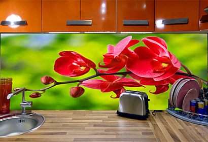 Kuchynská fototapeta - červená orchidea 24762