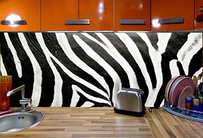Fototapeta na zástenu - Bielo čierna zebra 123