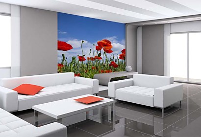 Fototapeta Poppy Meadow 6368