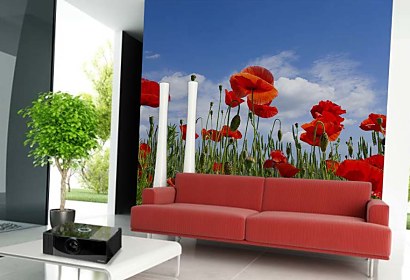 Fototapeta Poppy Meadow 6368