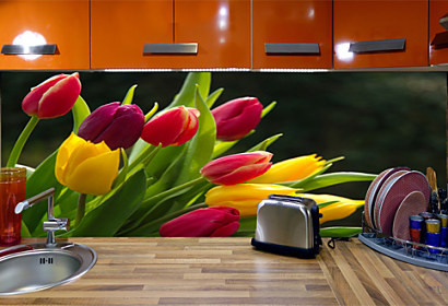 Fototapeta zástena - Kvety Tulipány 3131